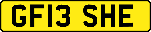 GF13SHE