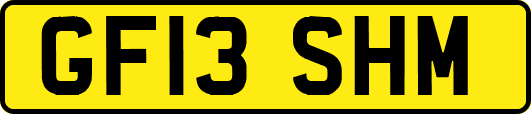 GF13SHM