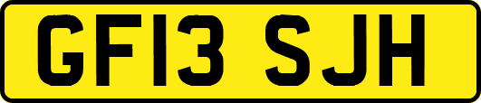 GF13SJH