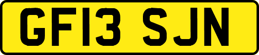 GF13SJN