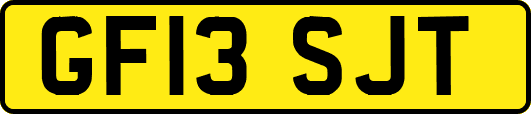 GF13SJT