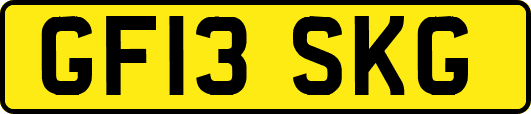 GF13SKG
