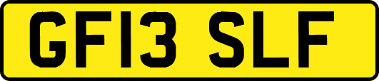 GF13SLF