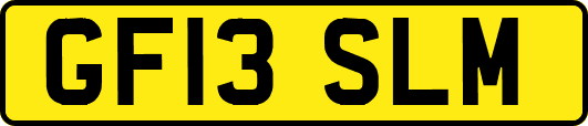 GF13SLM