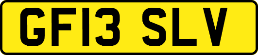 GF13SLV
