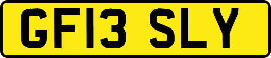 GF13SLY