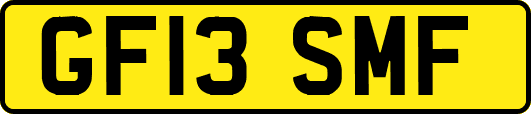 GF13SMF