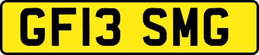 GF13SMG