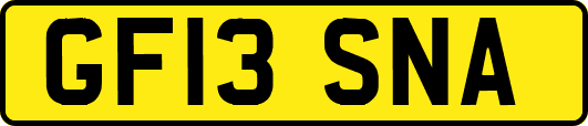 GF13SNA