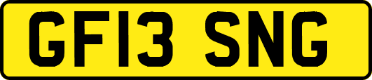 GF13SNG