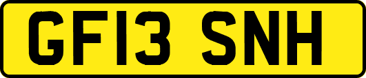 GF13SNH