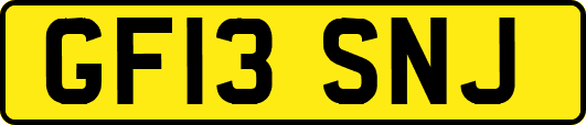GF13SNJ