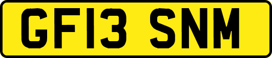 GF13SNM
