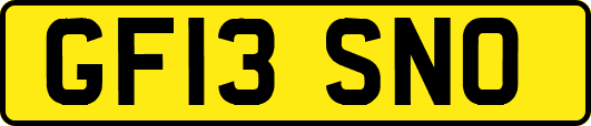 GF13SNO