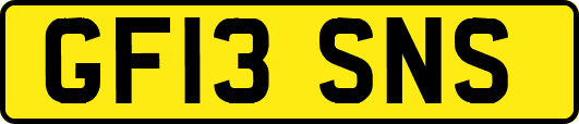 GF13SNS