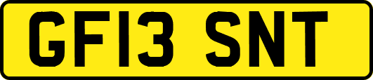 GF13SNT