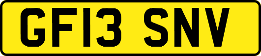 GF13SNV