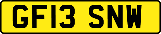 GF13SNW