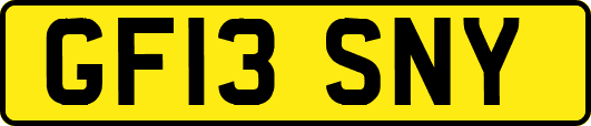 GF13SNY