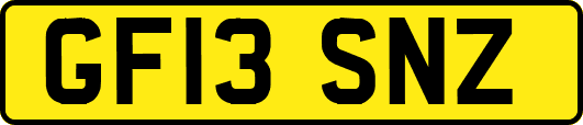 GF13SNZ