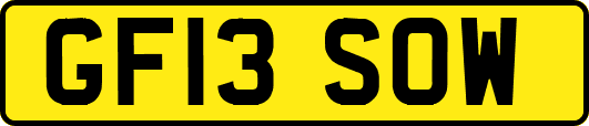 GF13SOW