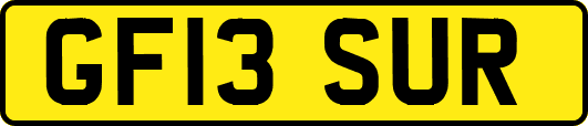 GF13SUR
