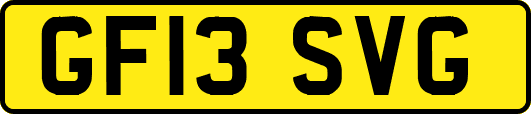 GF13SVG