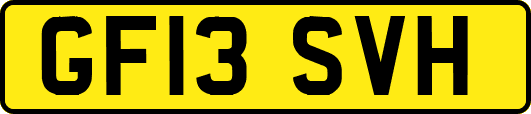 GF13SVH
