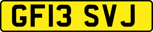 GF13SVJ