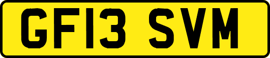 GF13SVM