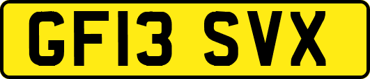 GF13SVX