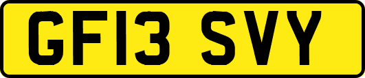 GF13SVY