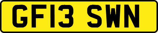 GF13SWN