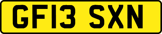 GF13SXN