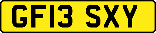 GF13SXY