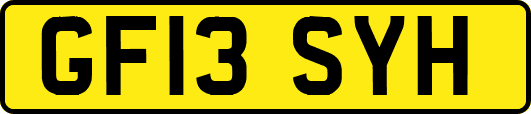 GF13SYH