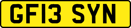 GF13SYN