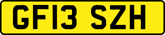 GF13SZH