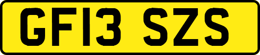 GF13SZS