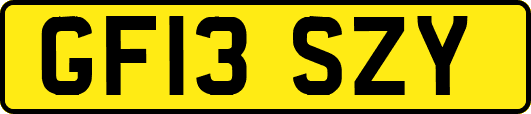 GF13SZY