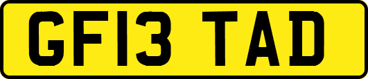 GF13TAD