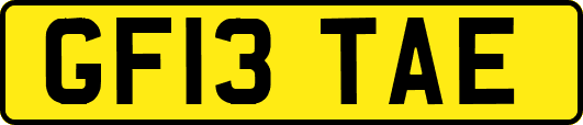 GF13TAE