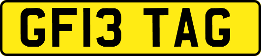 GF13TAG