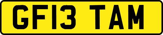 GF13TAM