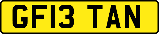 GF13TAN