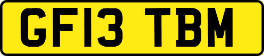 GF13TBM