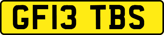 GF13TBS