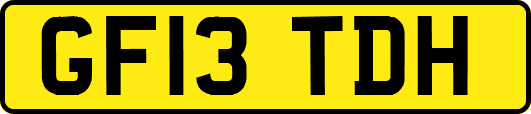 GF13TDH