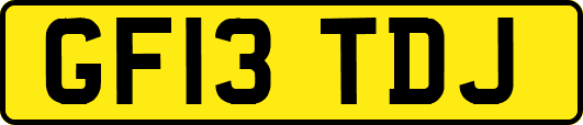 GF13TDJ