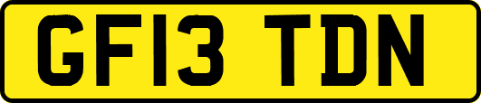 GF13TDN